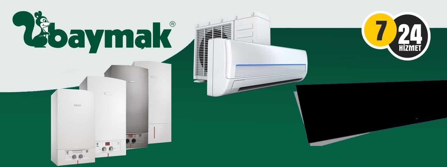 Giresun Kombi Servisi Baymak